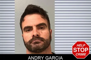 Andry Garcia mugshot