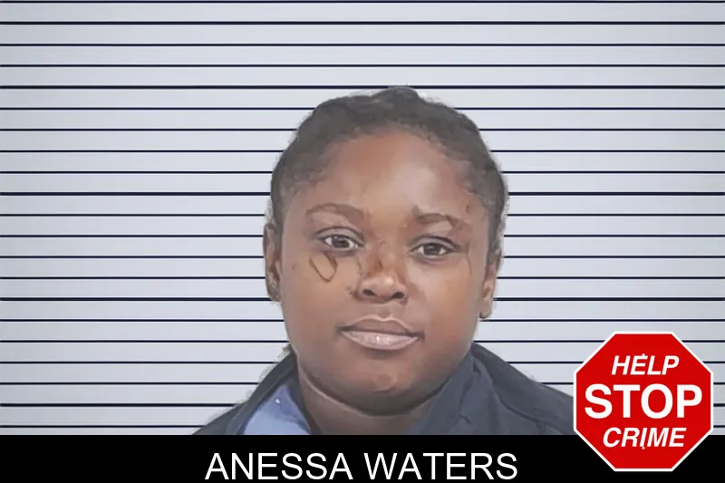 Anessa Waters mugshot
