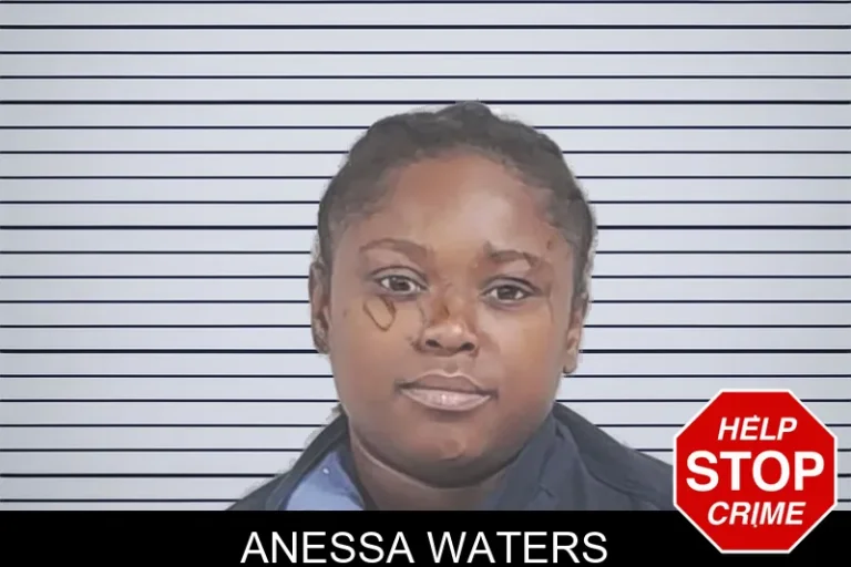 Anessa Waters mugshot – Lowndes County , Georgia Anessa Waters