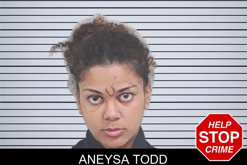Aneysa Todd Mugshots