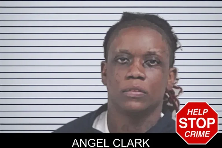 Angel Clark
