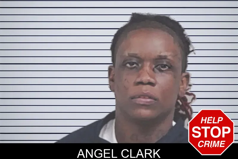 Angel Clark mugshot