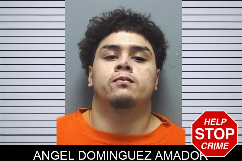 Angel Dominguez Amador mugshot