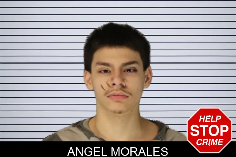 Angel Morales Mugshots
