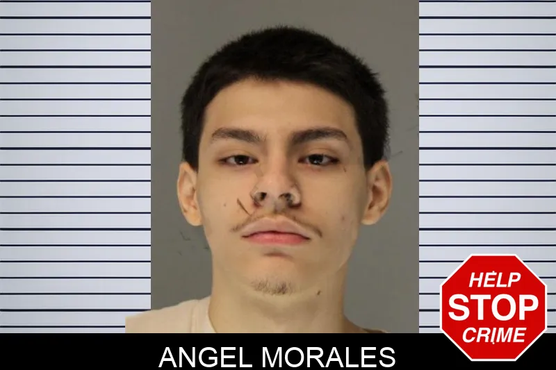 Angel Morales Mugshots