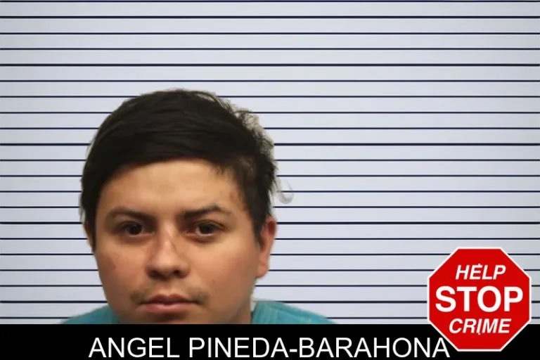 Angel Pineda-Barahona