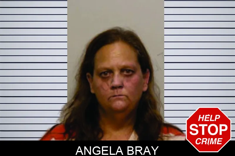 Angela Bray Mugshots