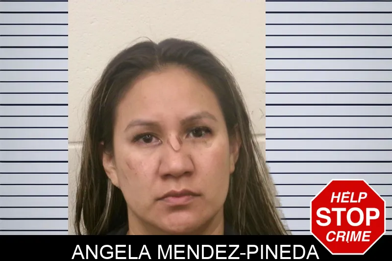 Angela Mendez-Pineda Mugshots