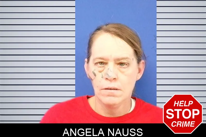 Angela Nauss Mugshots