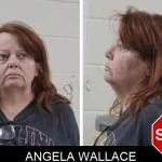 Angela Wallace Mugshots