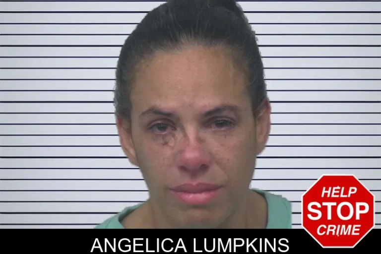Angelica Lumpkins mugshot – Gwinnett County , Georgia Angelica Lumpkins