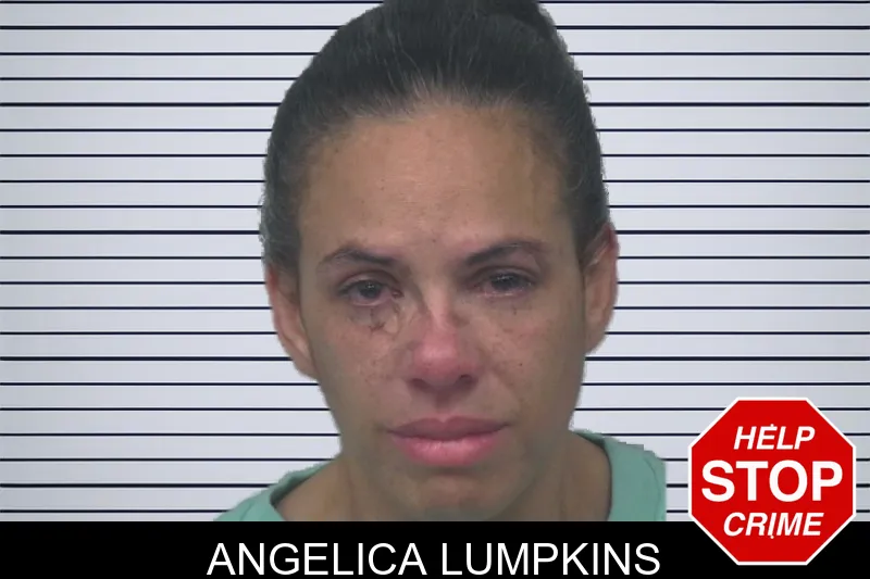 Angelica Lumpkins mugshot – Gwinnett County , Georgia Angelica Lumpkins mugshot