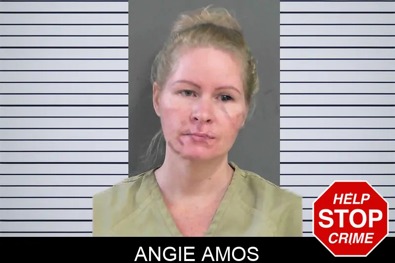 Angie Amos mugshot