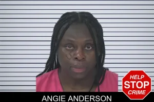 Angie Anderson mugshot