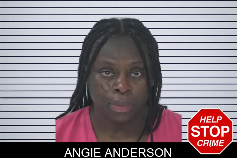 Angie Anderson Mugshots