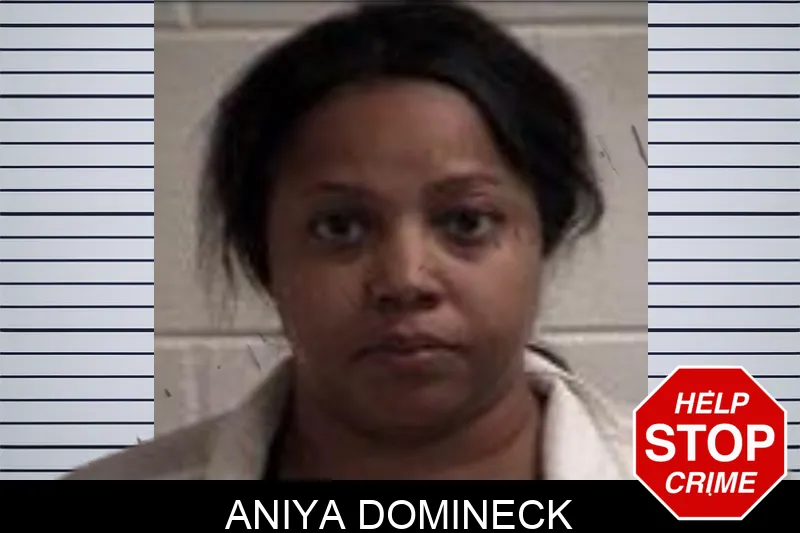 Aniya Domineck Mugshots