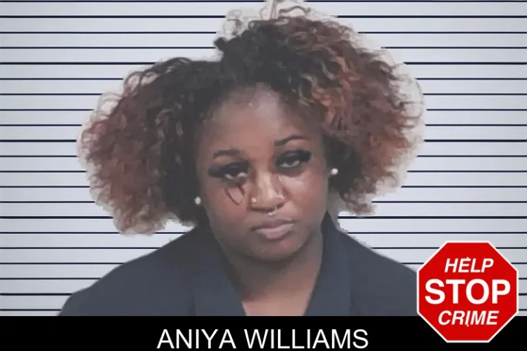Aniya Williams mugshot – Lowndes County , Georgia Aniya Williams
