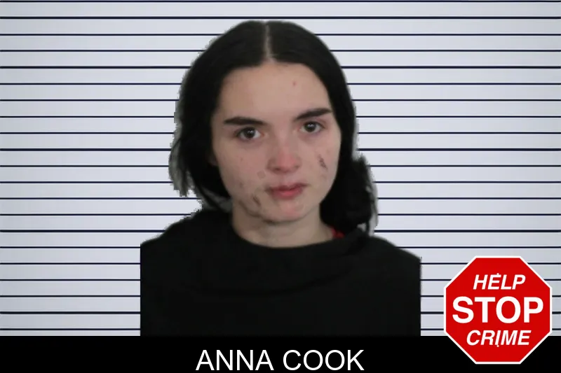 Anna Cook Mugshots