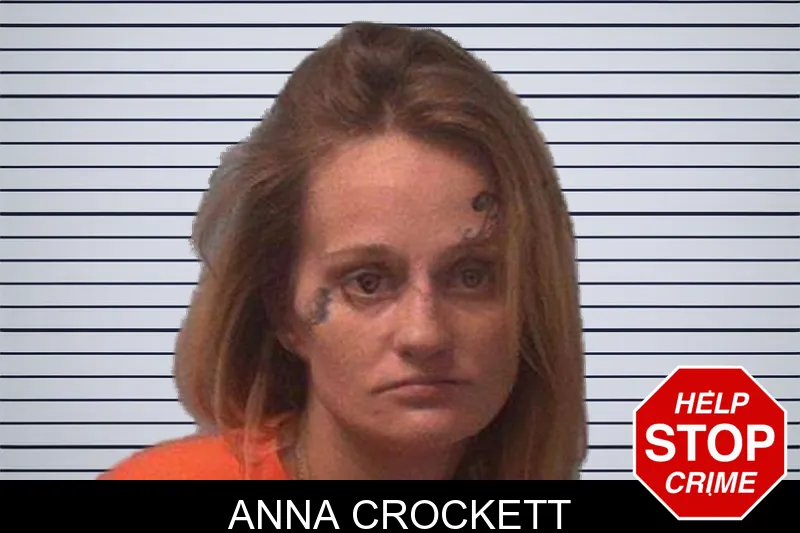 Anna Crockett mugshot