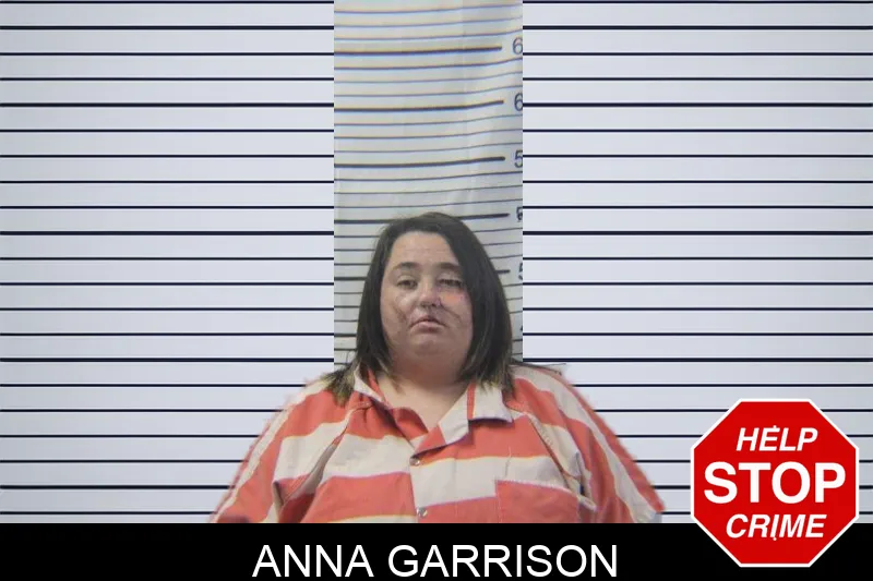 Anna Garrison Mugshots