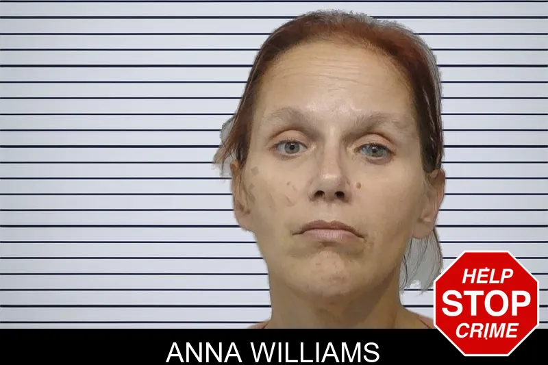 Anna Williams Mugshots