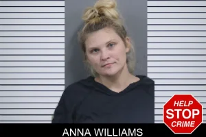 Anna Williams mugshot