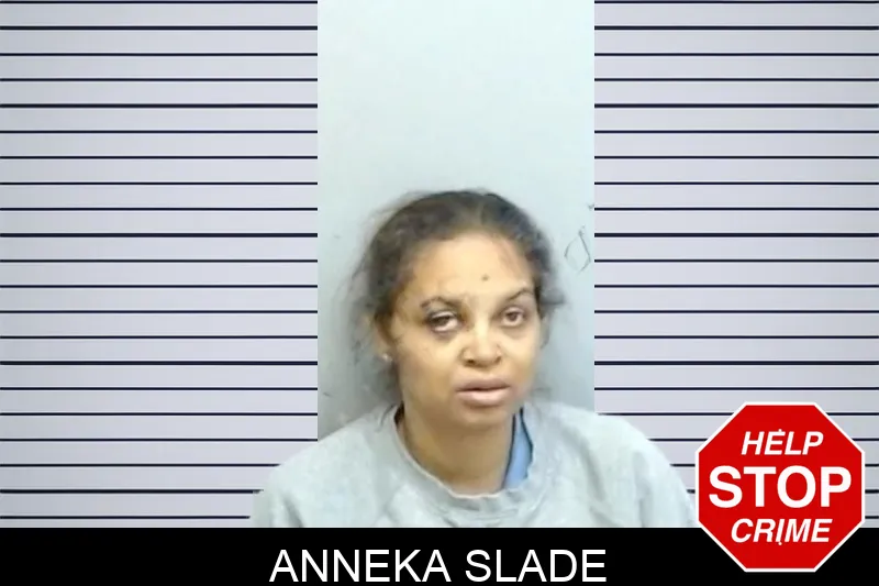 Anneka Slade mugshot – Fulton County , Georgia Anneka Slade mugshot