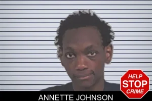 Annette Johnson mugshot