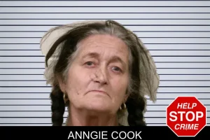 Anngie Cook mugshot