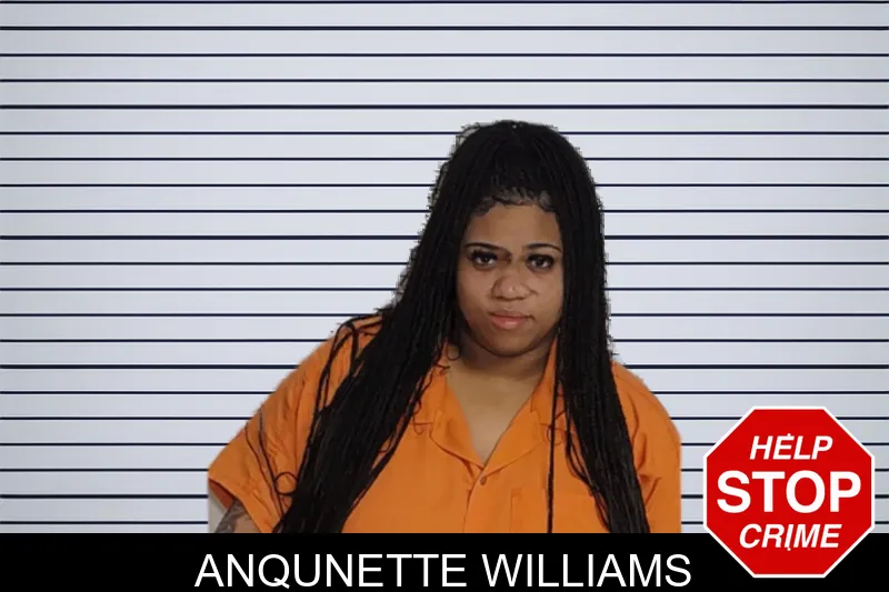 Anqunette Williams Mugshots