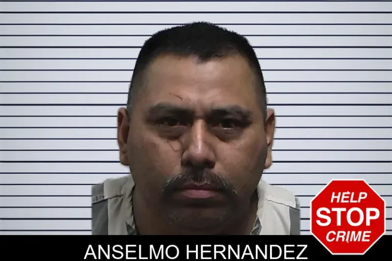 Anselmo Hernandez