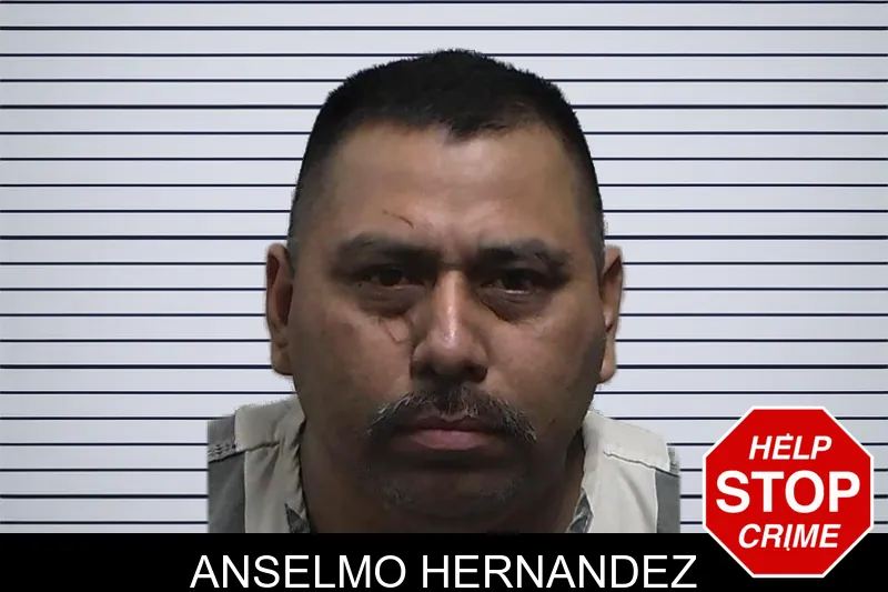 Anselmo Hernandez Mugshots