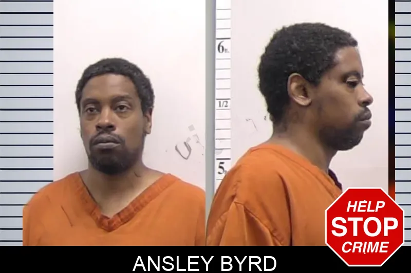 Ansley Byrd Mugshots