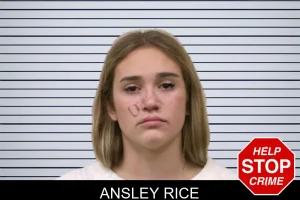 Ansley Rice mugshot