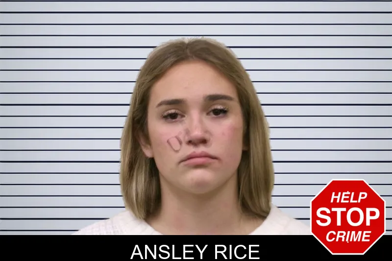 Ansley Rice mugshot