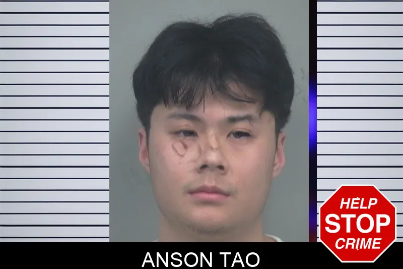 Anson Tao mugshot – Gwinnett County , Georgia Anson Tao mugshot