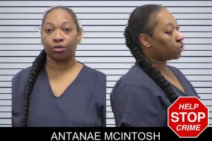 Antanae McIntosh mugshot