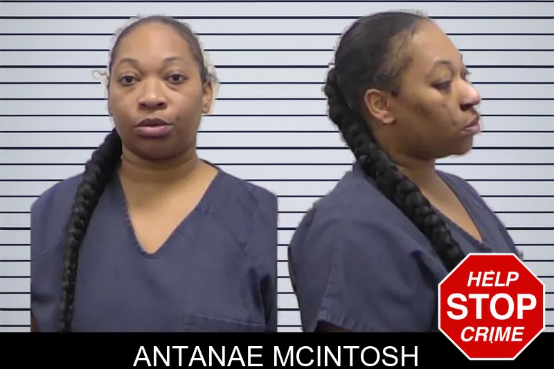 Antanae McIntosh mugshot