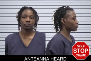 Anteanna Heard mugshot