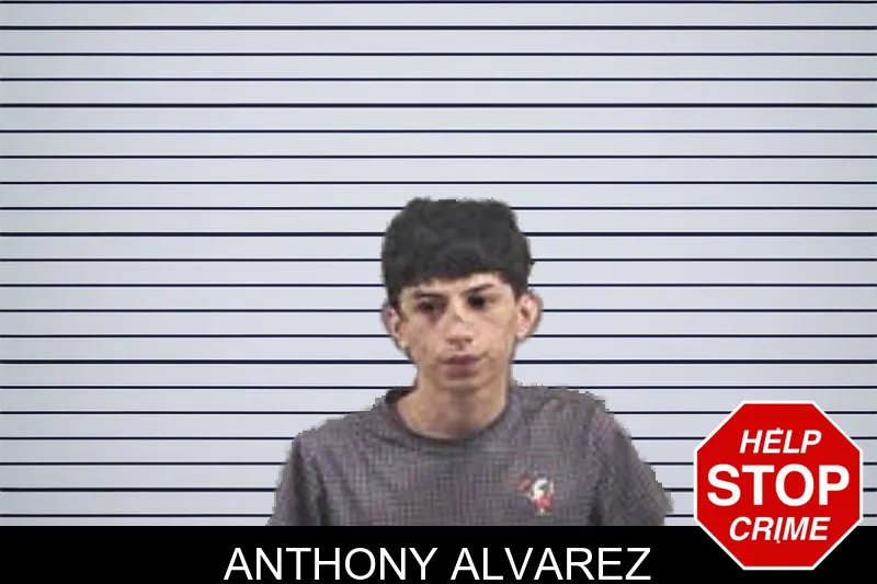 Anthony Alvarez mugshot