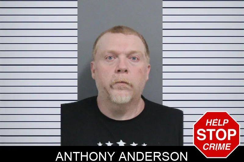 Anthony Anderson mugshot
