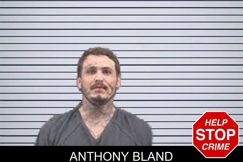 Anthony Bland Mugshots