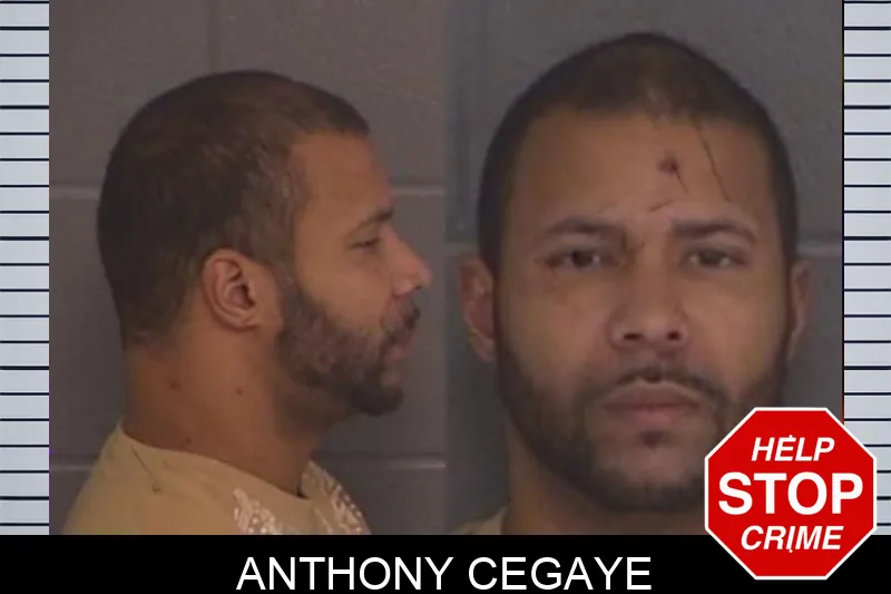 Anthony Cegaye Mugshots