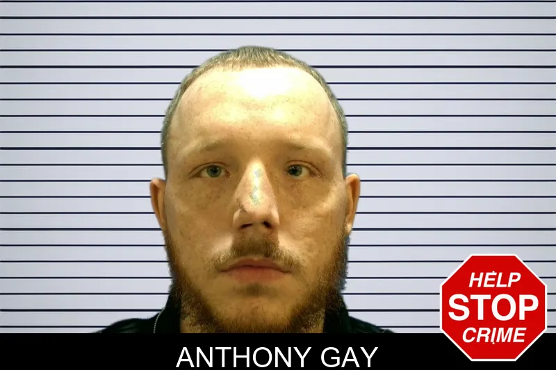 Anthony Gay Mugshots