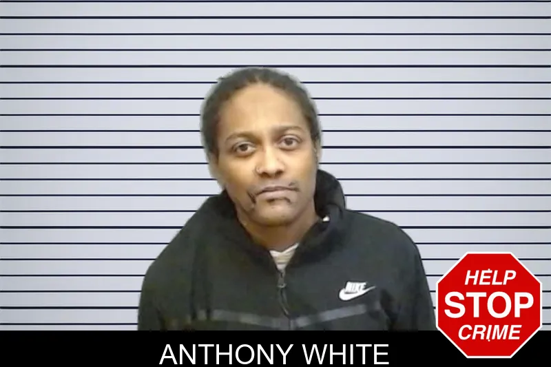 Anthony White mugshot – Fulton County , Georgia Anthony White mugshot
