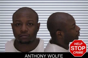 Anthony Wolfe mugshot