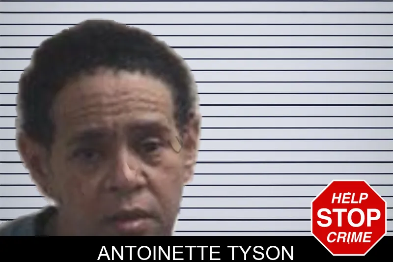Antoinette Tyson mugshot