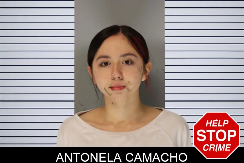 Antonela Camacho Mugshots
