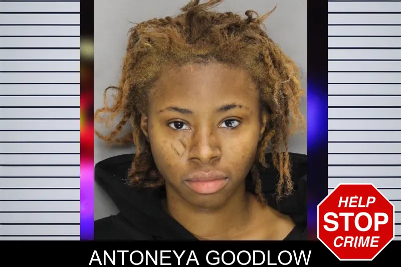 Antoneya Goodlow Mugshots
