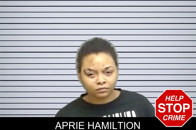 Aprie Hamiltion mugshot – Fulton County , Georgia Aprie Hamiltion mugshot